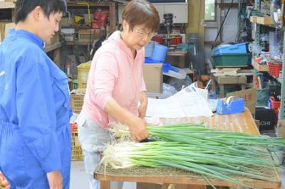 宝島・能勢便の出荷準備